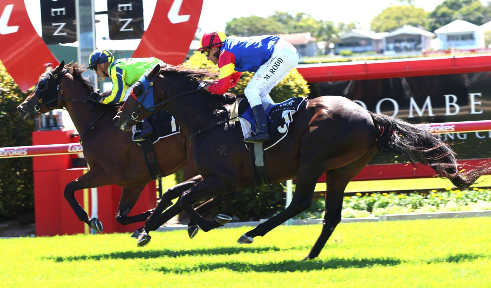 Three jockeys in colorful silks ride racing horses at full gallop on a sunny turf track, mid-race action.