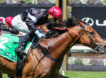 Jockey in a red helmet and black silks crouches low on a chestnut racehorse wearing a green saddlecloth with the number 2, mid-race.