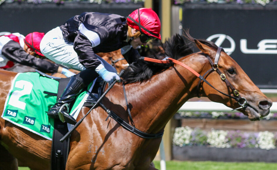 Jockey in a red helmet and black silks crouches low on a chestnut racehorse wearing a green saddlecloth with the number 2, mid-race.