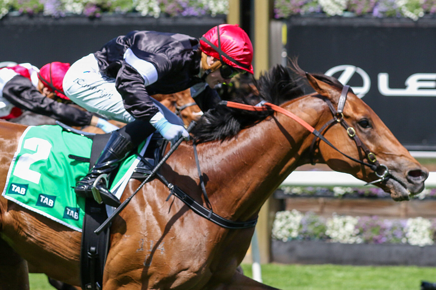 Jockey in a red helmet and black silks crouches low on a chestnut racehorse wearing a green saddlecloth with the number 2, mid-race.