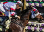 Jockey in white and red silks leans forward on a galloping brown horse during a race, holding the reins and wearing a helmet and goggles.