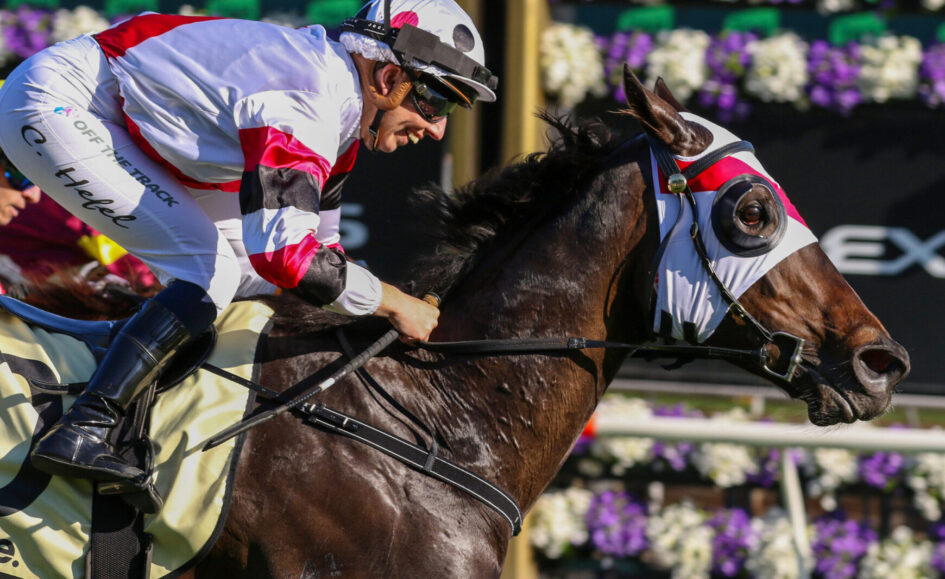 Jockey in white and red silks leans forward on a galloping brown horse during a race, holding the reins and wearing a helmet and goggles.