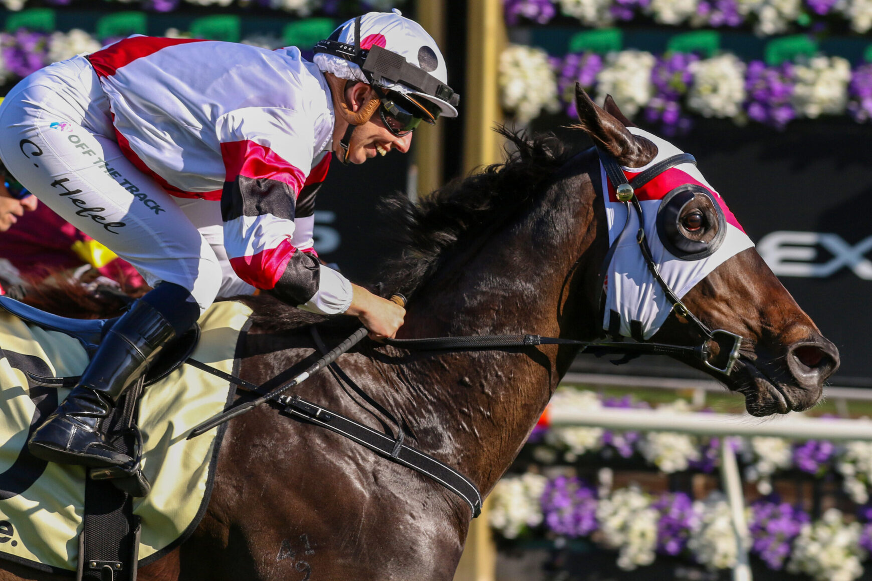 Jockey in white and red silks leans forward on a galloping brown horse during a race, holding the reins and wearing a helmet and goggles.