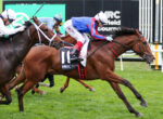 Jockeys race on grass; the lead rider wears blue and red silks on a chestnut horse with number 11.