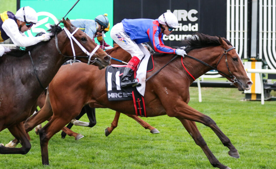 Jockeys race on grass; the lead rider wears blue and red silks on a chestnut horse with number 11.
