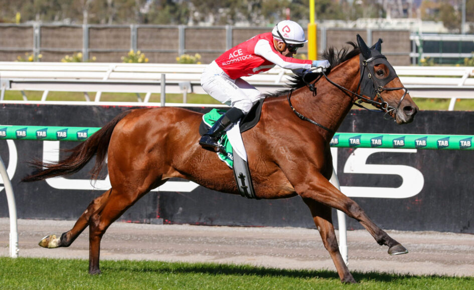 Jockey in red and white silks rides a bay horse during a race on a track with green rails behind them