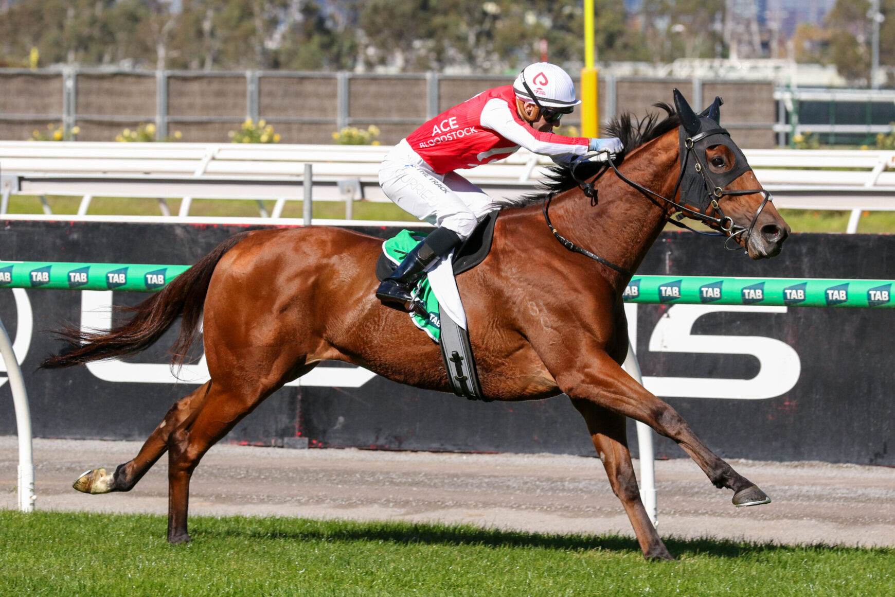 Jockey in red and white silks rides a bay horse during a race on a track with green rails behind them