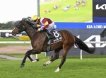Horse and jockey mid-race on a grassy track, wearing a yellow helmet and maroon-white silks, #8 saddlecloth close to winner's turn on the rails.