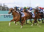 Group of thoroughbreds racing on a grassy track, leading with blue-and-white silks; jockeys lean forward as horses run neck-and-neck.