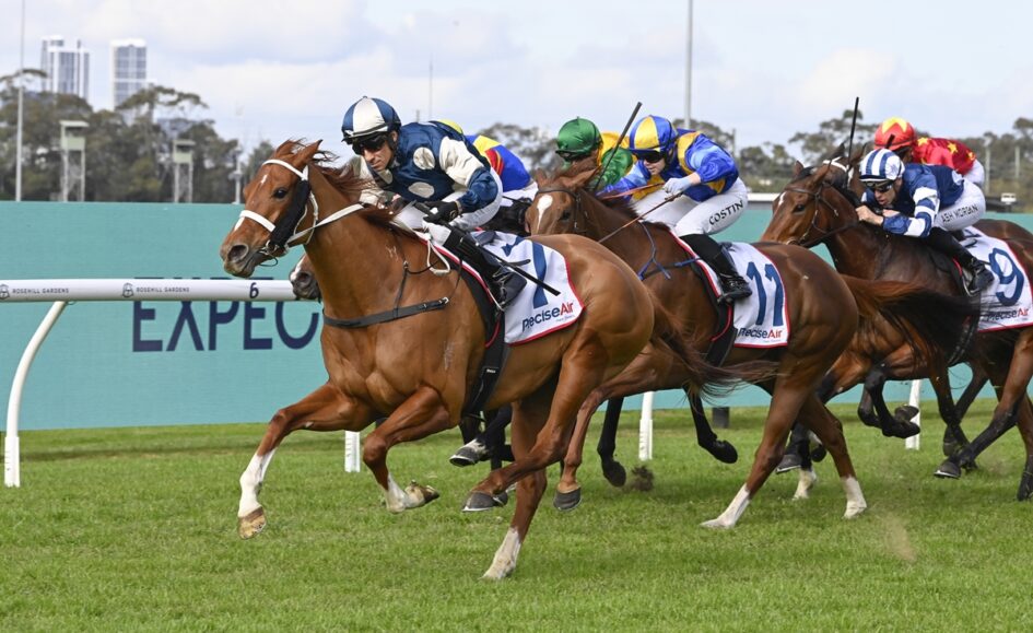 Group of thoroughbreds racing on a grassy track, leading with blue-and-white silks; jockeys lean forward as horses run neck-and-neck.