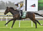 Jockey in white and yellow silks rides a dark brown horse with green number-3 saddlecloth, galloping on a grassy racetrack.