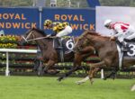 Two racehorses and jockeys sprint toward the finish at Royal Randwick, with horse No. 6 in yellow‑and‑black checks and horse No. 3 in white and red, flowers along the rail.