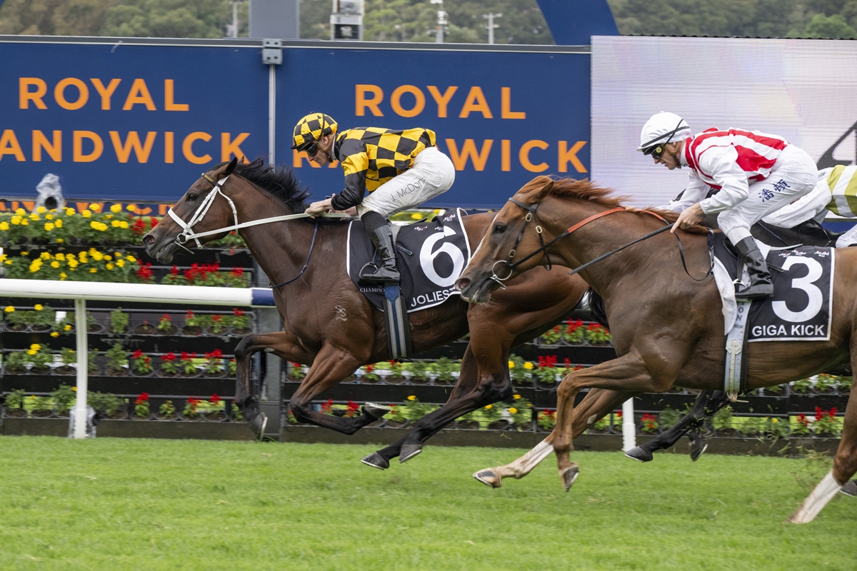 Two racehorses and jockeys sprint toward the finish at Royal Randwick, with horse No. 6 in yellow‑and‑black checks and horse No. 3 in white and red, flowers along the rail.