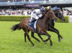 Two jockeys ride springing racehorses on a sunny turf track, crowd in stands behind them and 'ROYAL RANDW' sign visible.