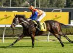 Jockey in red-yellow check silks rides a dark brown horse on a racetrack with a Schweppes banner in the background.
