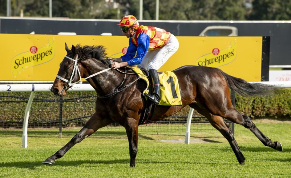 Jockey in red-yellow check silks rides a dark brown horse on a racetrack with a Schweppes banner in the background.