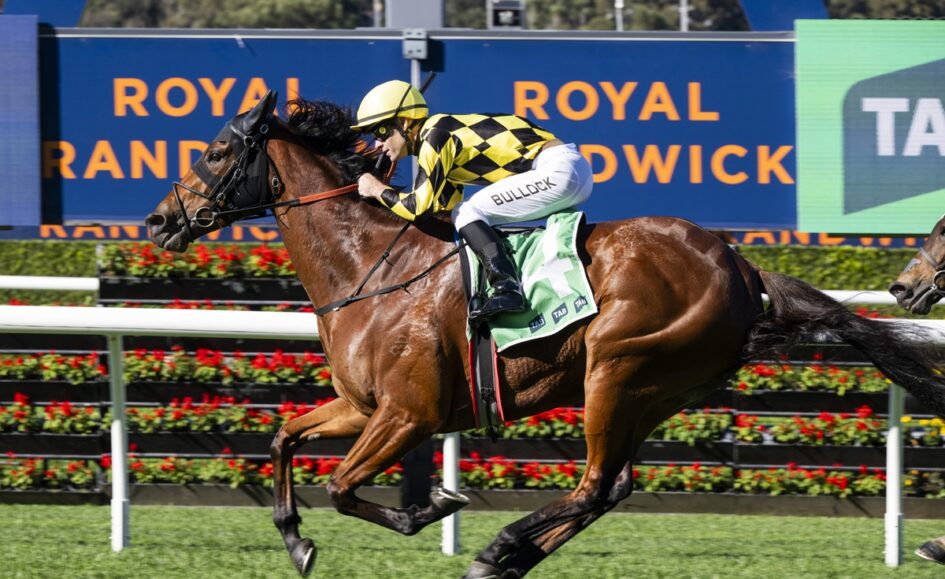 Jockey in yellow-and-black checkered silks rides a galloping bay horse at Royal Randwick, with a blue advertising sign in the background.