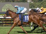 Leading brown racehorse with jockey in blue silks (number 11) sprinting on a sunny turf course; others chase behind.