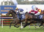 Thoroughbred horse race in progress with jockeys leaning forward and horses galloping on a green track.