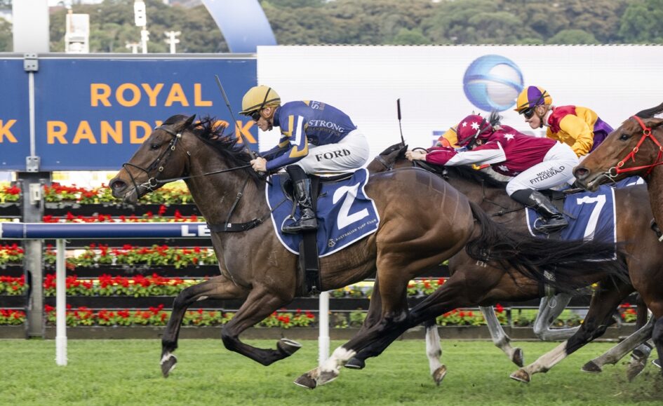 Thoroughbred horse race in progress with jockeys leaning forward and horses galloping on a green track.