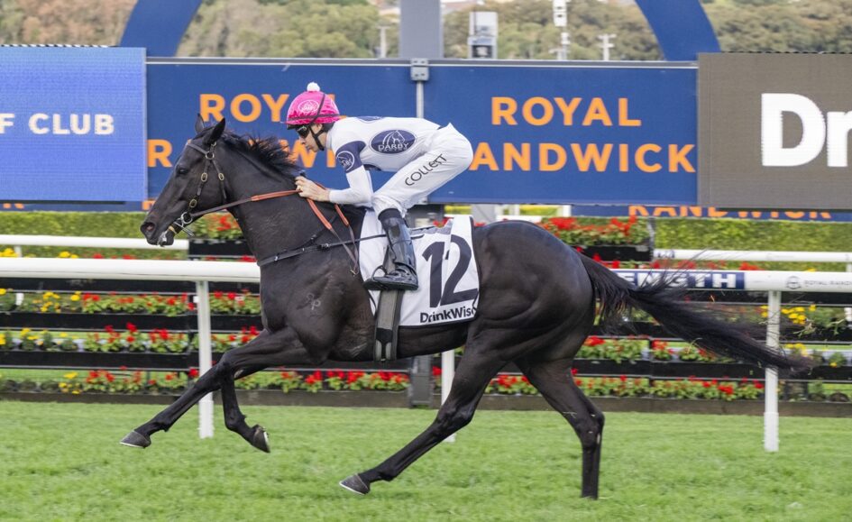 Black horse gallops on a racecourse with jockey in pink cap and white silks, number 12 saddlecloth, at Royal Randwick signage behind.