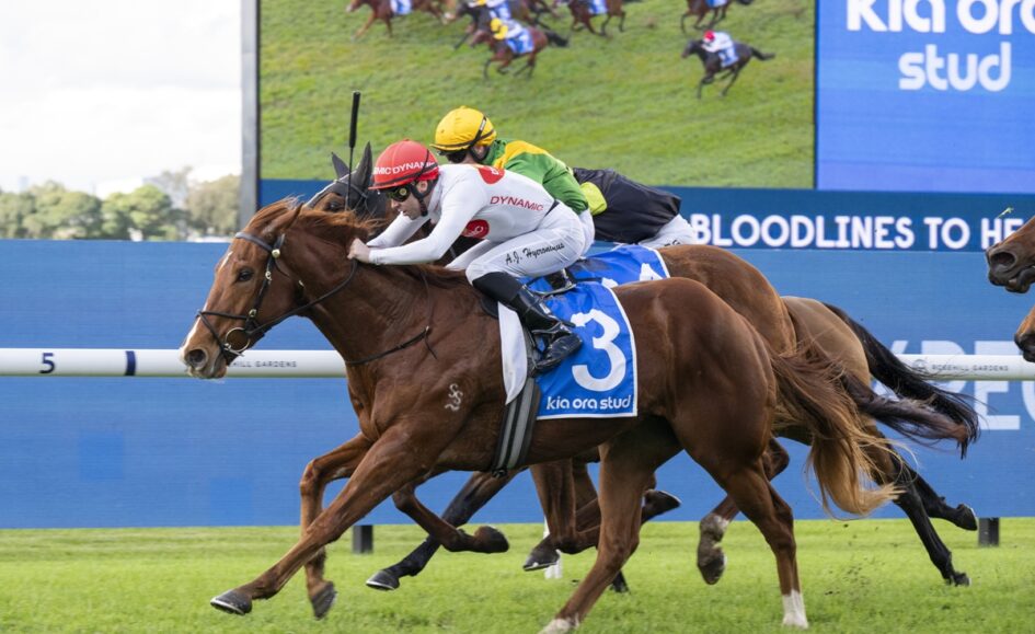 Horse race on a grassy track; lead horse wears blue saddle cloth marked '3', jockey in white and red, rivals close behind with a large blue advertising barrier in view.