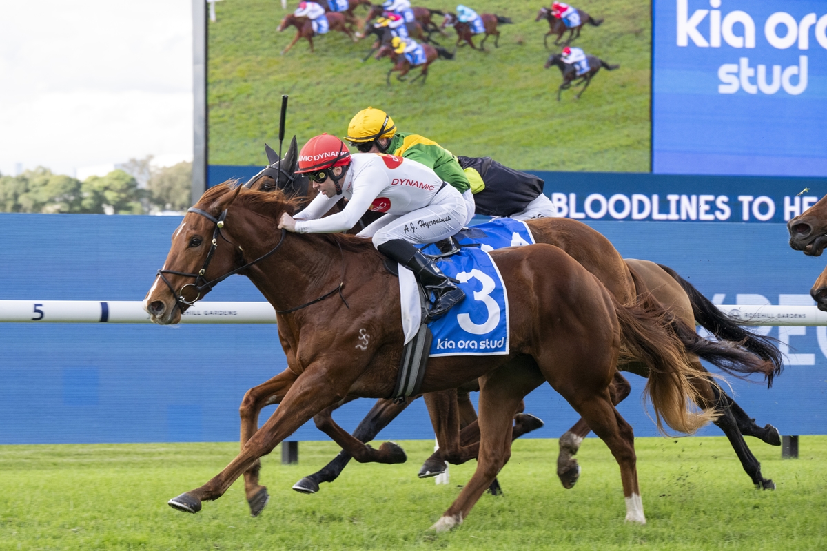 Horse race on a grassy track; lead horse wears blue saddle cloth marked '3', jockey in white and red, rivals close behind with a large blue advertising barrier in view.