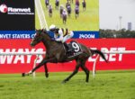 Horse and jockey sprinting on a grassy racecourse, wearing number 9 and yellow‑white silks with blue/red ads in the background
