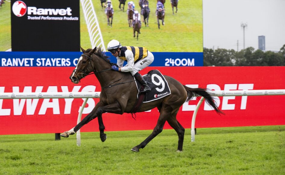 Horse and jockey sprinting on a grassy racecourse, wearing number 9 and yellow‑white silks with blue/red ads in the background