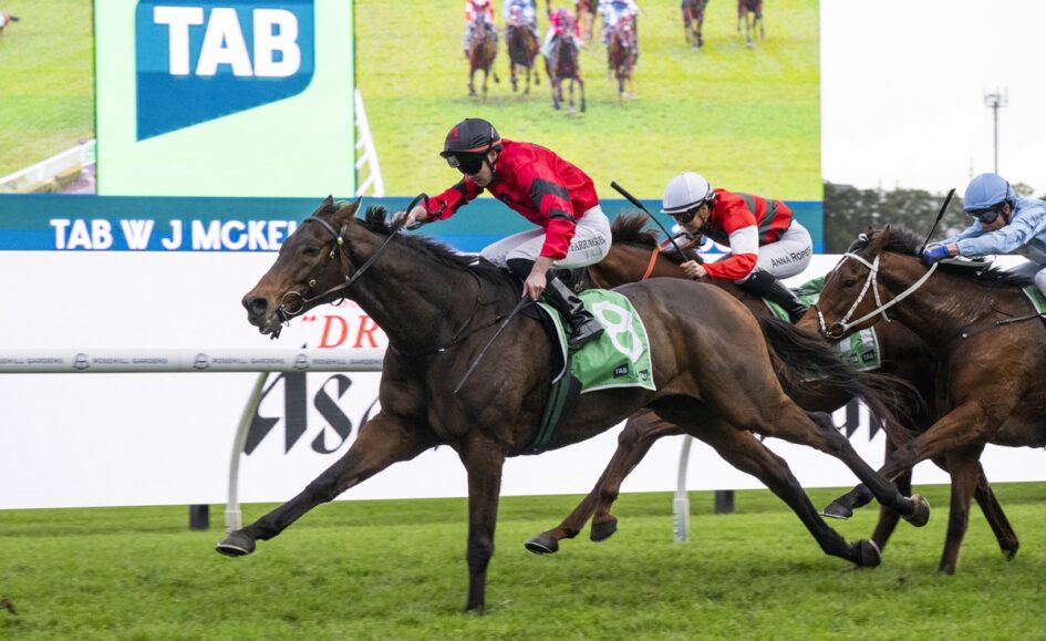 Horse race in progress: lead jockey in red silks on a dark bay horse wearing a green number 8 saddlecloth, chased by rivals on a grassy track.