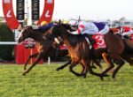 Thoroughbred racehorses neck-and-neck at the finish line with jockeys in colorful silks leaning forward to win a photo finish.