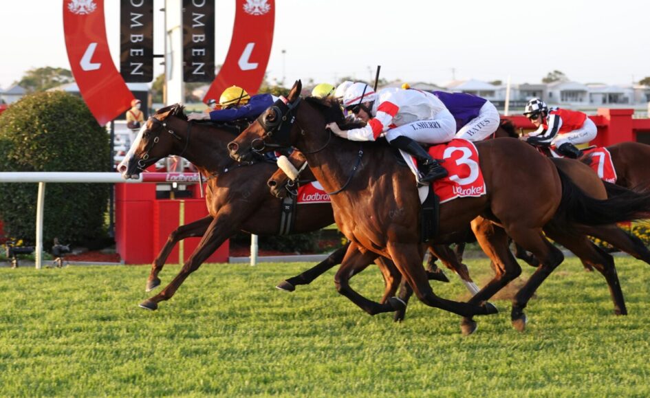 Thoroughbred racehorses neck-and-neck at the finish line with jockeys in colorful silks leaning forward to win a photo finish.