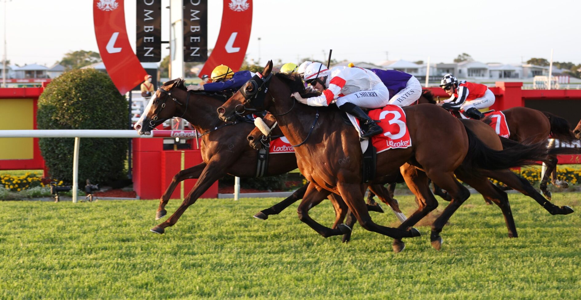 Thoroughbred racehorses neck-and-neck at the finish line with jockeys in colorful silks leaning forward to win a photo finish.