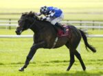 Jockey in blue and white silks riding a dark horse mid-race on a sunny grass track.