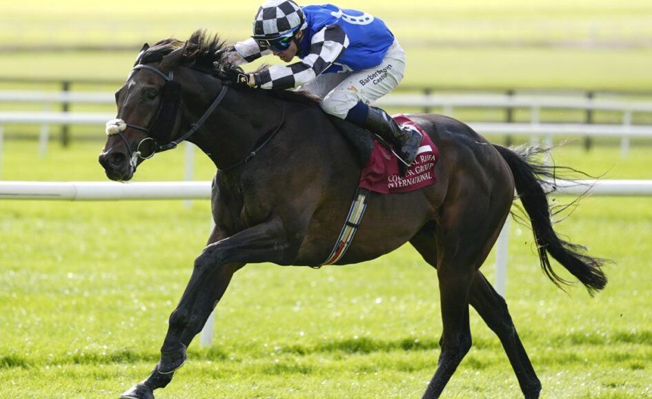 Jockey in blue and white silks riding a dark horse mid-race on a sunny grass track.