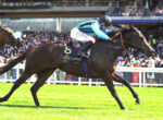 Dark bay horse with jockey in blue and black silks sprint to the finish at Royal Ascot, #8 saddle cloth, crowd in background