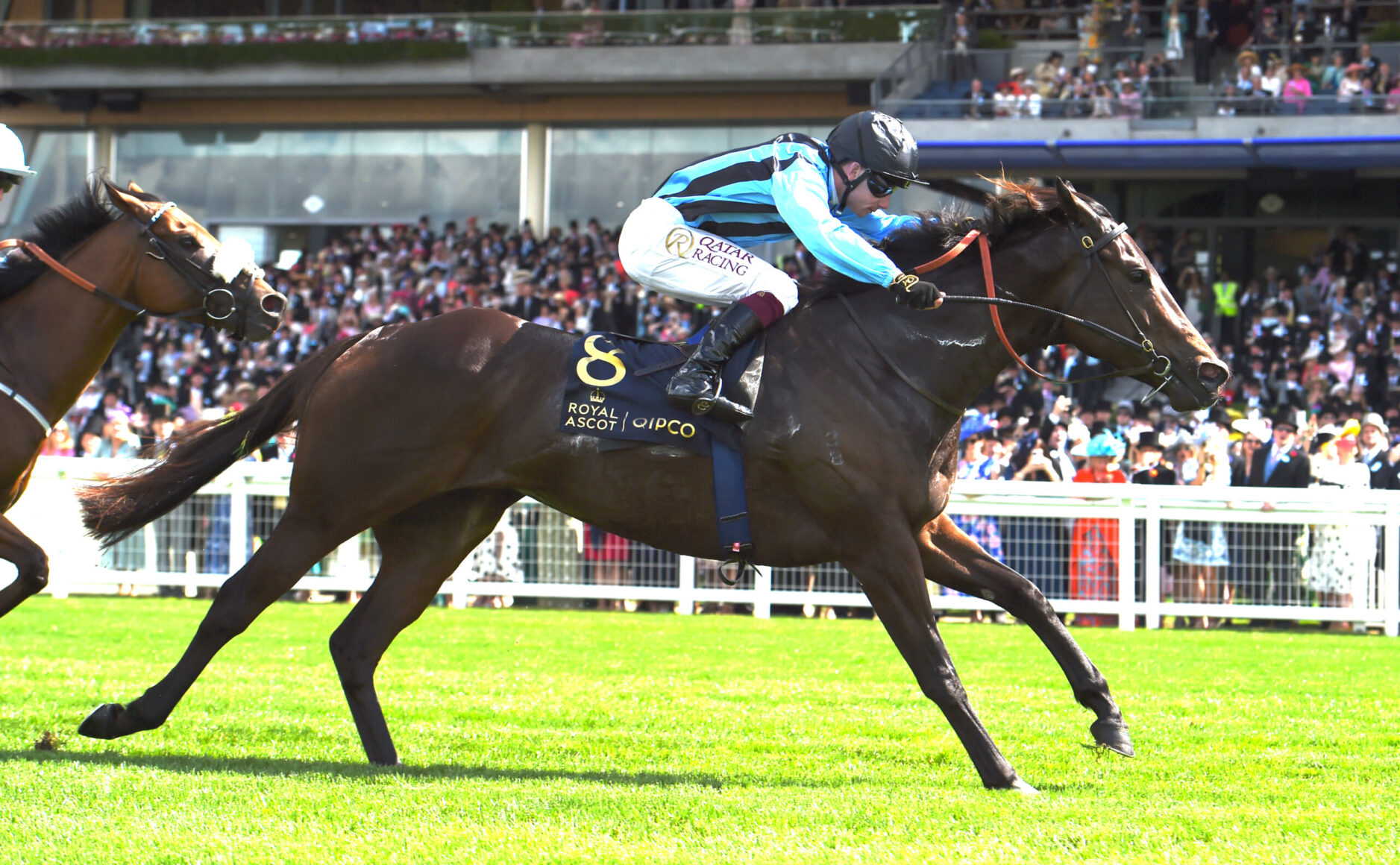 Horse and rider in mid-race on a bright green track, crowded grandstand in the background.