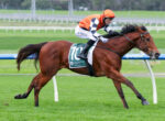 Horse racing scene: jockey in orange silks riding a brown horse on a grassy track, saddlecloth shows number 10 with sponsor branding