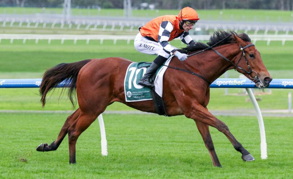 Horse racing scene: jockey in orange silks riding a brown horse on a grassy track, saddlecloth shows number 10 with sponsor branding