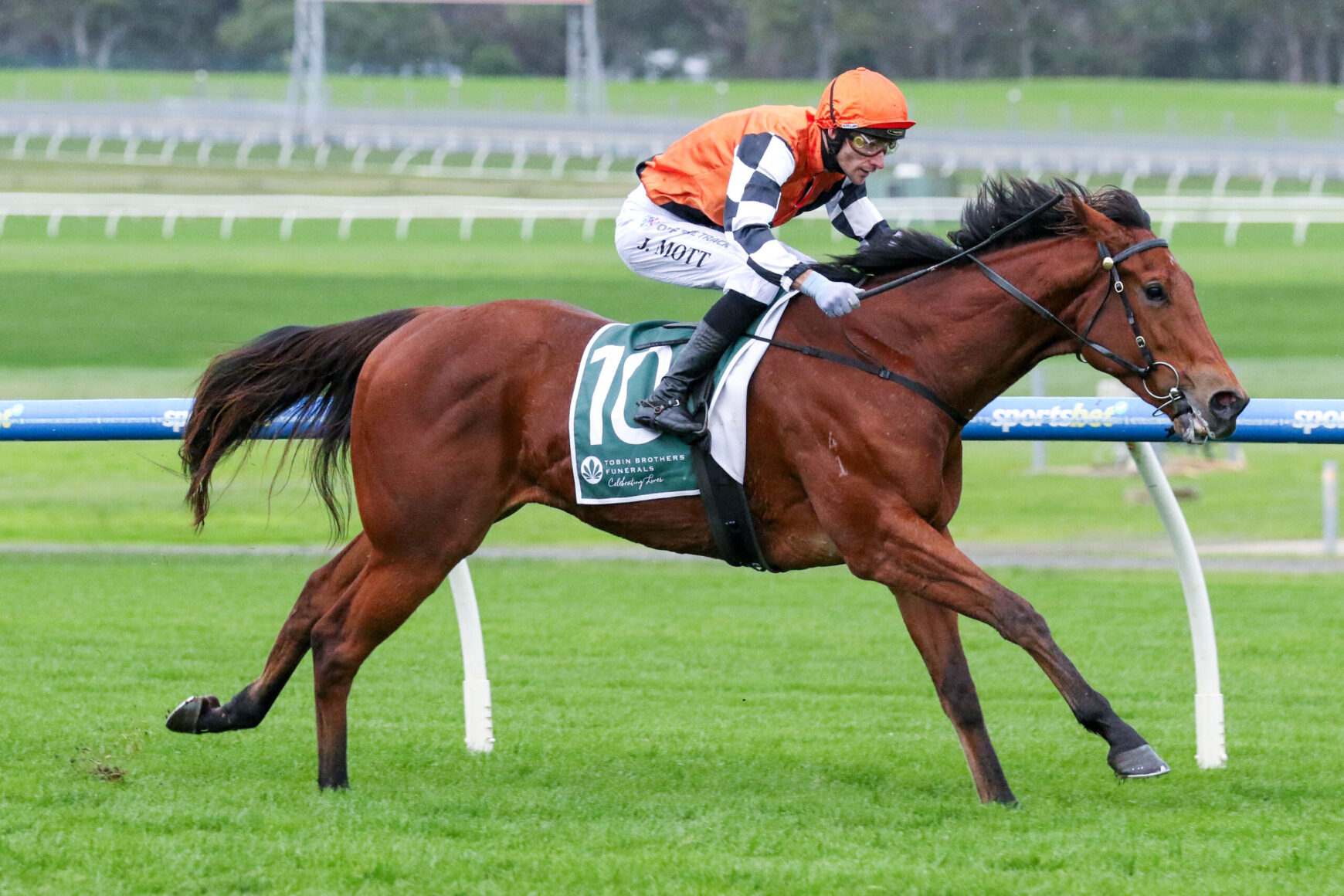 Horse racing scene: jockey in orange silks riding a brown horse on a grassy track, saddlecloth shows number 10 with sponsor branding