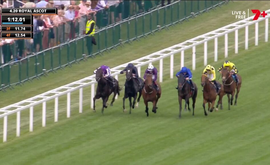 Seven thoroughbred horses race along the turf at Royal Ascot, jockeys in purple, blue, and yellow silks, with spectators beyond the trackRail fence on the left.