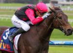 Jockey in pink helmet and black-and-pink racing vest riding a brown horse during a race, with blue numbered saddlecloth visible on the flank.
