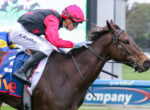 Jockey in a pink helmet and red sleeves rides a dark brown horse mid-jump during a race, with a blue sponsor banner in the background.