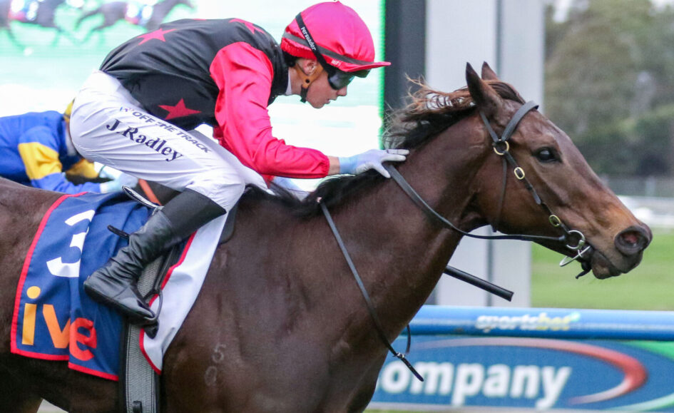 Jockey in a pink helmet and red sleeves rides a dark brown horse mid-jump during a race, with a blue sponsor banner in the background.