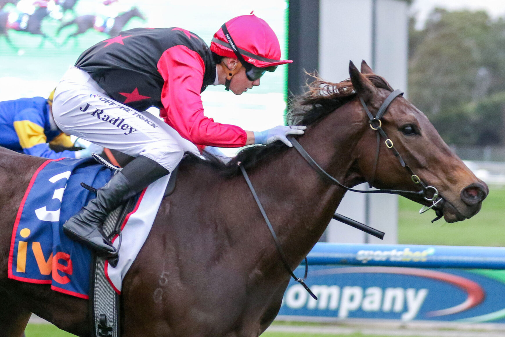 Jockey in a pink helmet and red sleeves rides a dark brown horse mid-jump during a race, with a blue sponsor banner in the background.