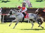 Jockey on a gray horse wearing red-and-white silks leads a turf horse race, bib number 17, with another rider on a brown horse close behind.