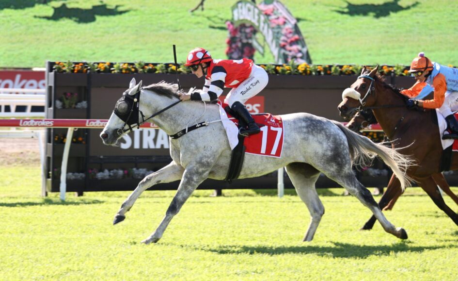 Jockey on a gray horse wearing red-and-white silks leads a turf horse race, bib number 17, with another rider on a brown horse close behind.