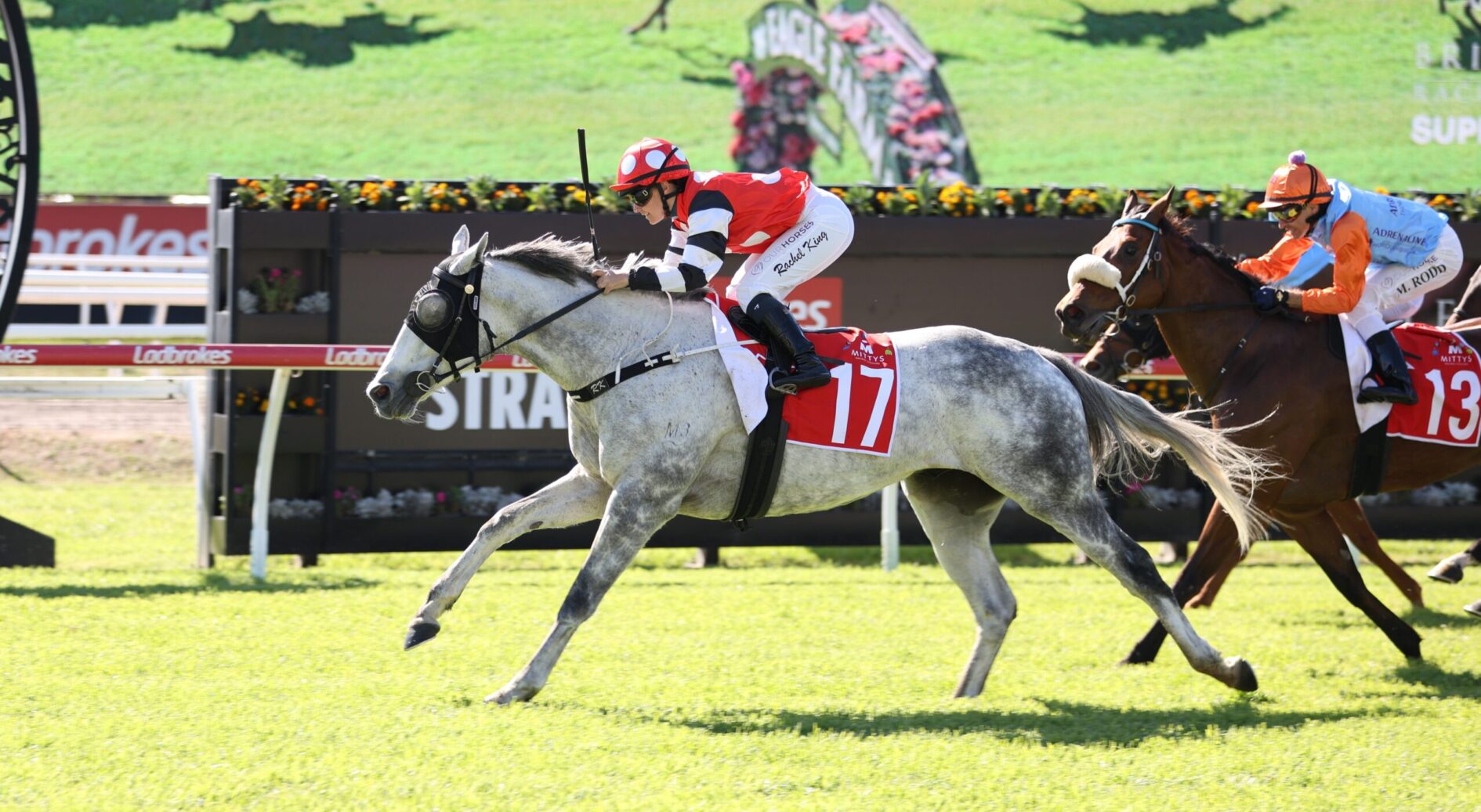 Jockey on a gray horse wearing red-and-white silks leads a turf horse race, bib number 17, with another rider on a brown horse close behind.
