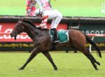 Jockey in white and red silks riding a brown horse at full gallop on a grass racecourse with a green saddle cloth.