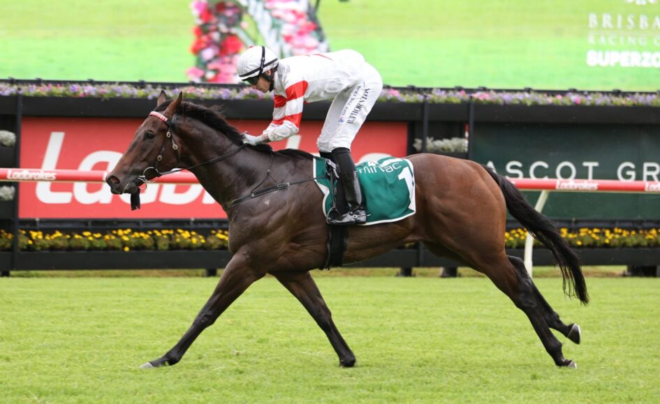 Jockey in white and red silks riding a brown horse at full gallop on a grass racecourse with a green saddle cloth.